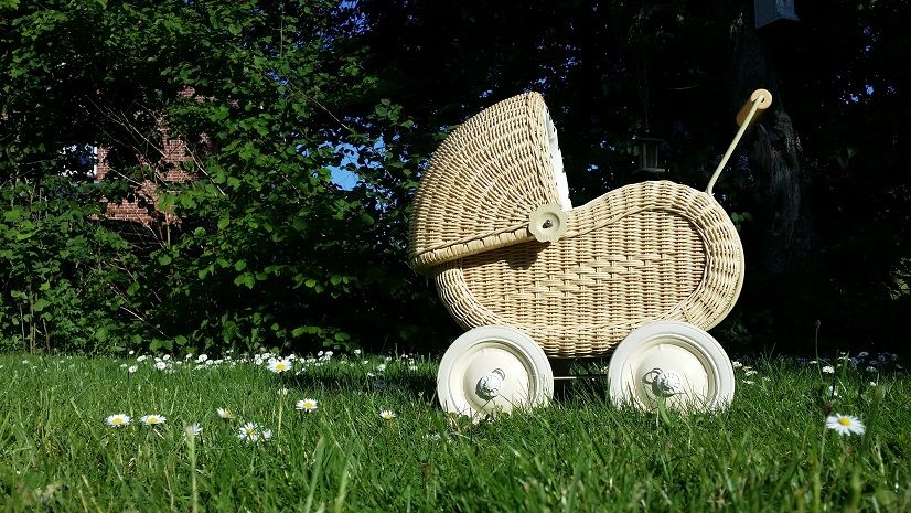 baby-carriage-798775.jpg